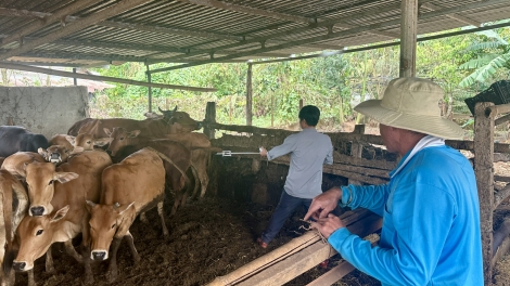 Đắk Lắk hơtŏk loi dơ̆ng tang găn jĭ tơ̆ kon tơrong