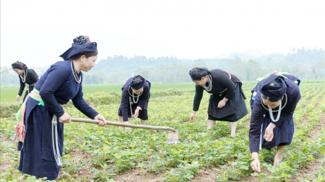 BẠI VIỂC HẾT ĐÂY CÚA HỎM PỈ NOỌNG LÙA TÁNG NGÒI CHỬC DÚ TUYÊN QUANG