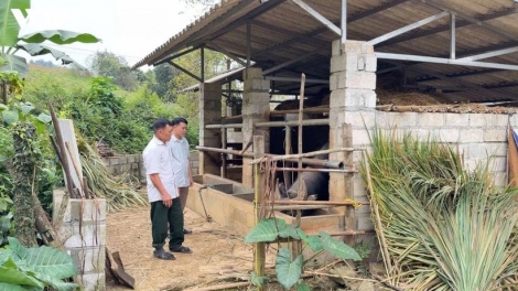 Nông dân Cao Bằng phát triển kinh tế từ mô hình tổng hợp