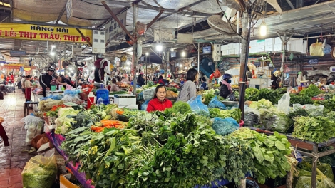 DỰ CÚA CÁI CHANG SLÌ CHÁ BẮT