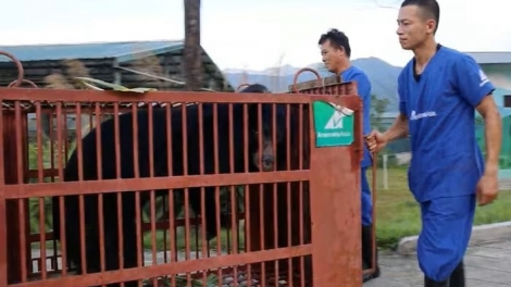 P’XOỌNG 3 P’NONG CR’BHAI VÊY TA ĐƠƠNG ÂNG OOY BHƯƠN K’TIẾC K’RUUNG BẠCH MÃ