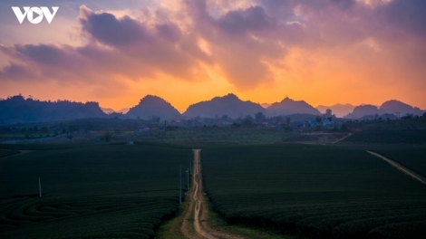 Hãy giữ đất rừng 