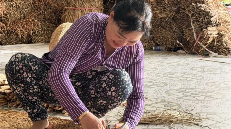 បង្កើតការងារ និងបង្កើនប្រាក់ចំណូលសម្រាប់ស្ត្រីជនបទពីដើមកំប្លោក