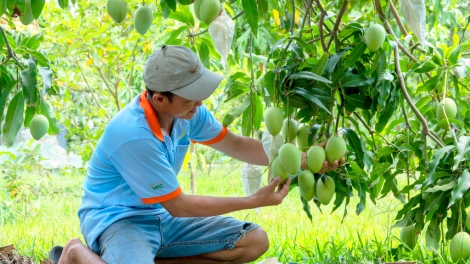 ពត៌មាន ម៉ោង​ ៦