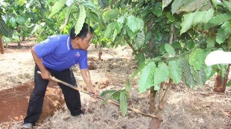 Càr Gia Lai ai lài ù lơh sa hìu bơnhă rơƀah mờ ndrờm bè cau rơƀah jơi bơtiàn dồ êt nă cau in