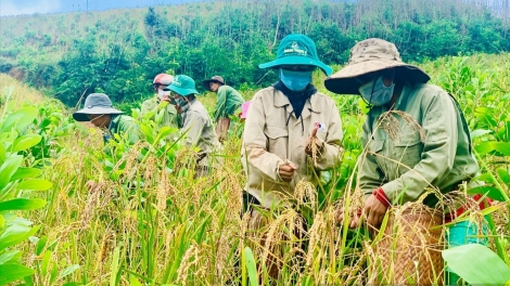 Kah tĕ mờ ƀòn lơgar