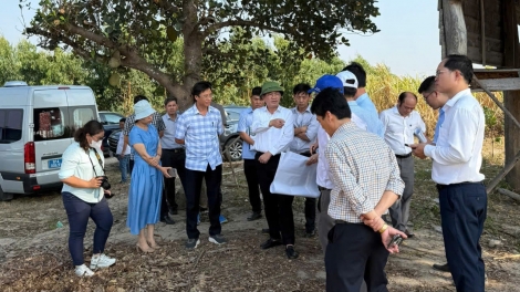 Chính quyền địa phương hai cấp tạo động lực mới cho thu hút đầu tư ở Gia Lai