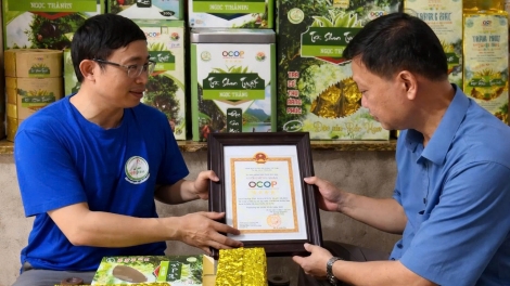 Người góp phần nâng tầm chè Shan Tuyết vùng cao Thái Nguyên