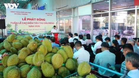 CAN THO DAONG URANG NGAK NONG PABLEI YAOK RIBAU BAOH DURIAN JAIK PAIK