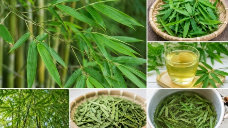 AU BÂƯ MẠY PHEO (PHẤY) MÀ HẾT DA