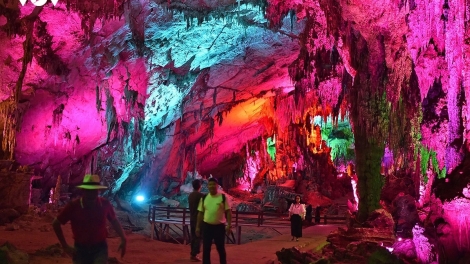 PÂY CHỒM NGƯỜM HUA MẠ DÚ SLẢNH THÁI NGUYÊN