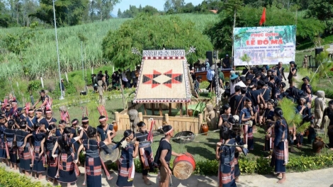 Rủ nhau đi hái rau rừng