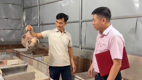 CAO BẰNG: PANG CHỎI CẦN LẸO SLÌ NẲNG LƯỜN XĂNG HÒI MÀ ĐẢY DIM CHÈN CỐC SLE HẾT KIN