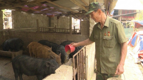 Người thương binh và hành trình hồi sinh vùng đất cằn Đèo Gió 