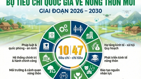 Lầy tzình phát sinh ìu miền vả hoi 28.7.2026
