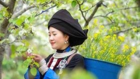 Lầy tzình phát sinh ìu miền vả thứ 5 hnoi 23/7/2027