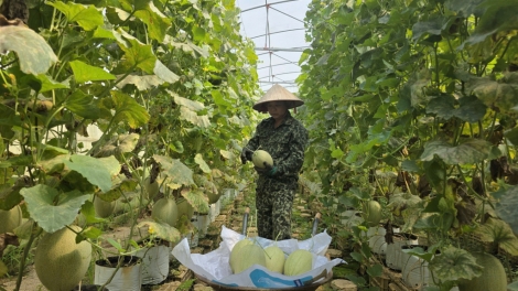 MÁC QUA LƯỚI CAO BẰNG KIN VAN ĐẢY LAI CẦN NẮT DỰ