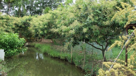 វិញឡុងផ្តោតទៅលើការវិនិយោគហេដ្ឋារចនាសម្ព័ន្ធ  បើកទ្វារទាក់ទាញលំហូរ វិនិយោគថ្មី