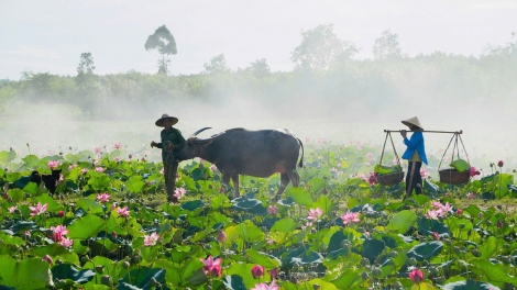 CHƯƠNG TRÌNH KHAY HENG TÀY - NÙNG (Thứ Tư, vằn 29 bươn 7 pi 2026)