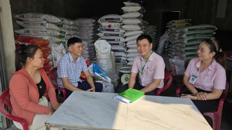 Sau sáp nhập, tín dụng chính sách tại Đà Nẵng vẫn giữ mạch vốn thông suốt