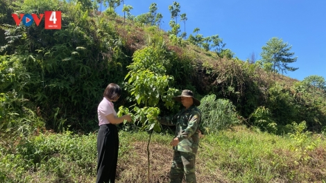 FẤN CHÈN DIM PJÁ LỈ NỌI PANG HẨƯ PỈ NOỌNG DÚ BÚNG KHAU PÙ SLẢNH PHÚ THỌ HẾT KIN ĐÂY