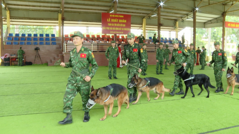 Những "chiến binh 4 chân" sẵn sàng thực hiện nhiệm vụ đặc biệt