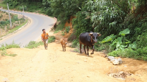Chương trình phát thanh quam Tay thứ 4 mự 01 căm bườn 7 pì 2026