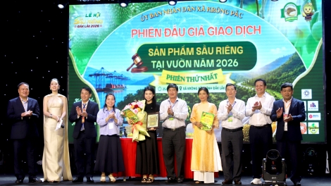 Dăk Lăk dơ̆ sơnrờp tàm pơrlòng giă sầu riêng tàm tiah tam 