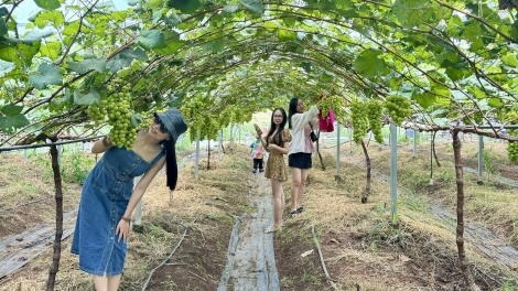Khu ngăn ‘na cheăng tơrŭm a Dak Lak pơhlêh tuăn tơmiât, mơjiâng ki kơnía krá tơniăn