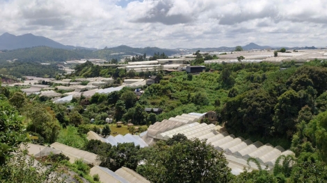 Lâm Đồng dưm dăp man pơdong pơlir phương Đà Lạt ha amăng plĕ hăng lăp dưi ngă