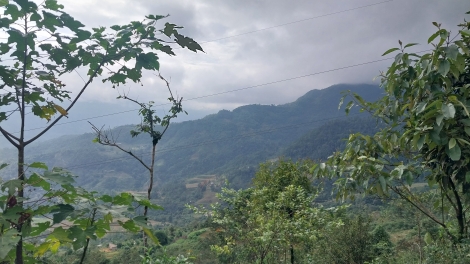 TUYÊN QUANG: PJÚC ĐÔNG CÁP XÁU HẾT DỰ ÁN TÍN CHỈ CARBON 