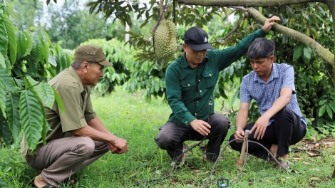 Ntơm bah ntŭk tâm lơh kăl e tât mir, lŏ, hôm mât nau ueh tahen Wa Hồ
