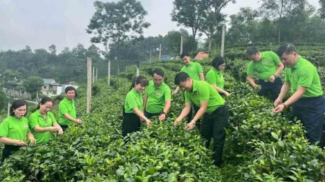 Thái Nguyên kỳ vọng bứt phá du lịch từ liên kết vùng