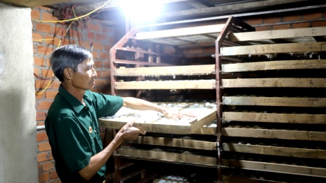 Cựu chiến binh Krông Ana làm giàu, góp sức xây dựng quê hương