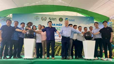 Msir mgaih klei gun kpăk hŏng bruă ba čhĭ kơ ala tač êngao êlâo kơ yan hrui êmiêt boh durian