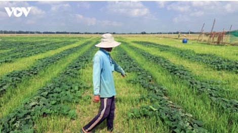 BẠI THẮN FẠT PỬA HẾT XÁ MỪA FẺ MẠY MÁC