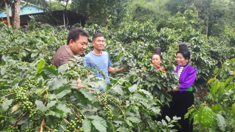 BÍ THƯ CHI BỘ HẾT LAI VIỂC SLE BẢN VẰN HẲM TỐI MẤƯ 