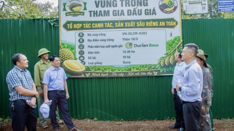 Mâu ƀai: Pơkâ pêi thăm mơnhông dêi Tây Nguyên ƀă pơloăng mơnúa tung mâu ngế pêi cheăng  Ƀai 1: Kal mơngế pêi cheăng a tíu mơjiâng tơmeăm khoăng troh pêi chiâk deăng tá troh cheăng a hngêi kơmăi