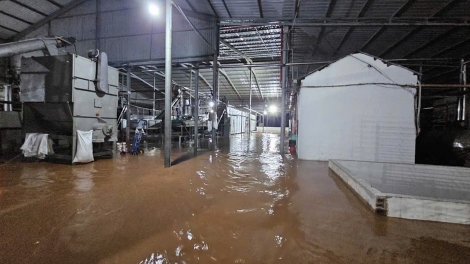 Quảng Ninh tiếp tục ngập úng, sạt lở cục bộ sau mưa lớn 