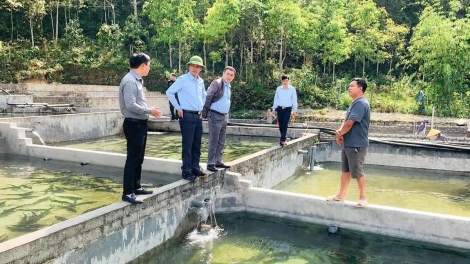 TUYÊN QUANG: HẾT NÈM BẠI TÀNG LỎ CÚA ĐẢNG CHANG TỞI SLỔNG