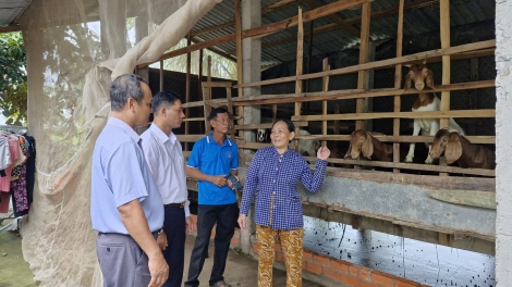  "ចិញ្ចឹមពពែ - បន្ថែមរបររកស៊ីបង្កើនប្រាក់ចំណូល"