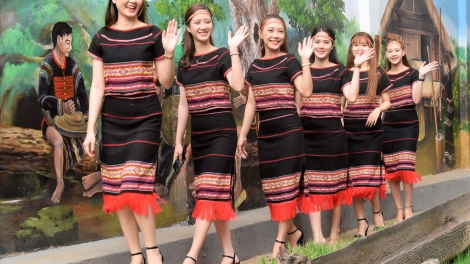 Em là hoa Pơ Lang