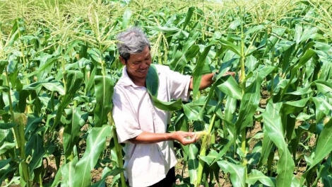 ពត៌មាន​ម៉ោង៦