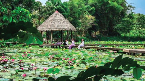 មណ្ឌលកេរដំណែល Xẻo Quýt ចាប់ពីមូលដ្ឋានបដិវត្តន៍រហូតដល់ចំណុចភ្លឺនៃ វិស័យទេសចរណ៍ 