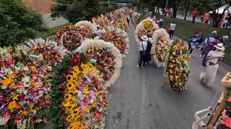 Feria de las Flores - Lễ hội gìn giữ di sản văn hóa về hoa của người nông dân Colombia