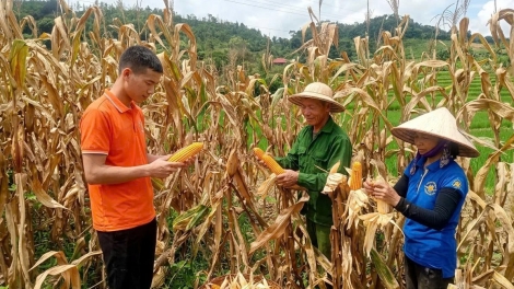 SLẮM ÓN DÚ BẠI BẢN BÚNG SLUNG LĂNG PỬA CÓ TẺO BẢN