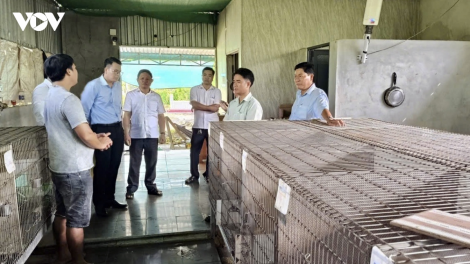 CAN THO RAONG MEJA PIAH PATRUN KATHAOT