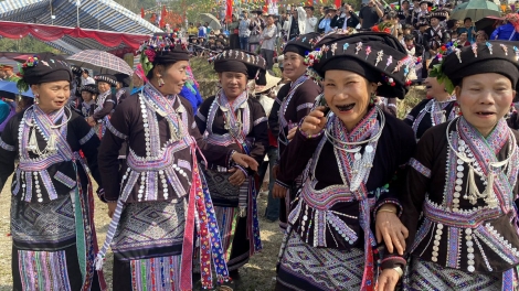Lầy tzình phát sinh ìu miền vả hoi 15.8.2026