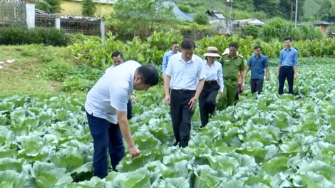  Chường trình phát thành quam Tay thứ 6 mự 07.8.2026