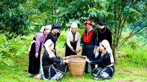 CHƯƠNG TRÌNH PHÁT THANH TIẾNG TÀY - NÙNG  (Thứ Bảy- vằn 19/9/2026)